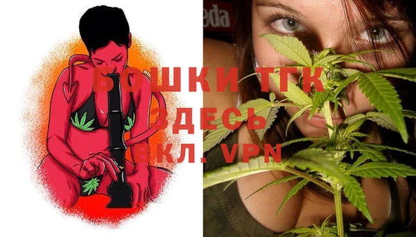 спиды Новозыбков