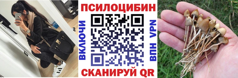 Галлюциногенные грибы мицелий  Арамиль 